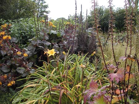 Bog Garden 3