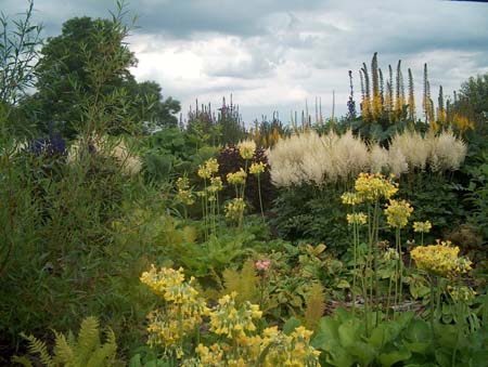 boggarden2