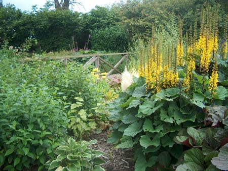 boggarden3