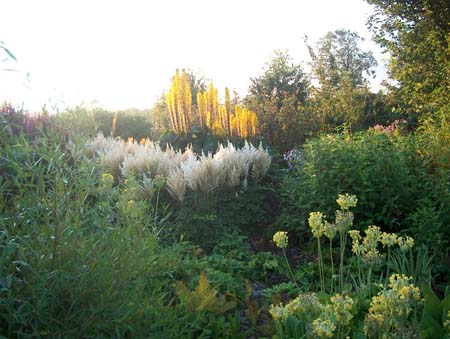 boggarden4