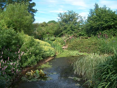 pondjune