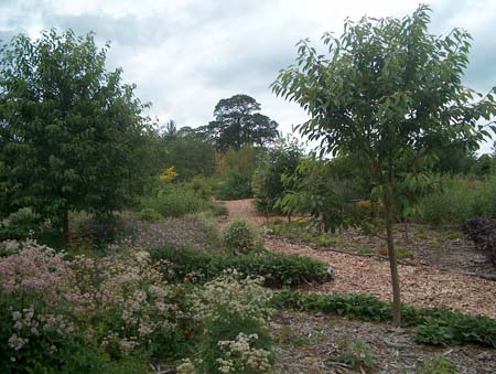 woodedgarden