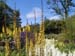 Bog Garden 2