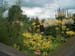 boggarden1