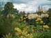 boggarden2