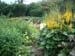 boggarden3