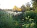 boggarden4