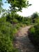 gardenpath