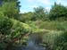 pondjune