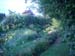 pondside2