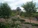 woodedgarden