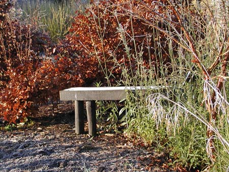 bench