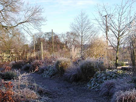 frostyday