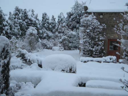 snowyday