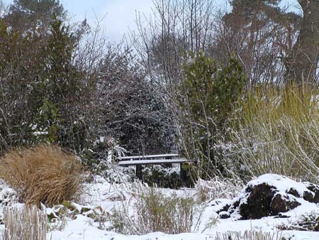 wintery